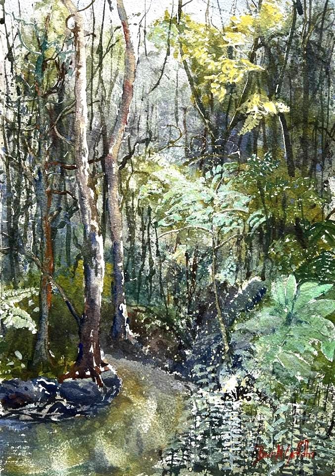 A-2024-BRUCE-GRIFFITHS-BURLEIGH-RAINFOREST-WALK