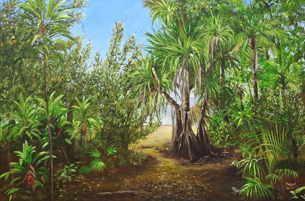 A-2024-Brenda-Bryant-Cabarita-Hill-Littoral-Rainforest