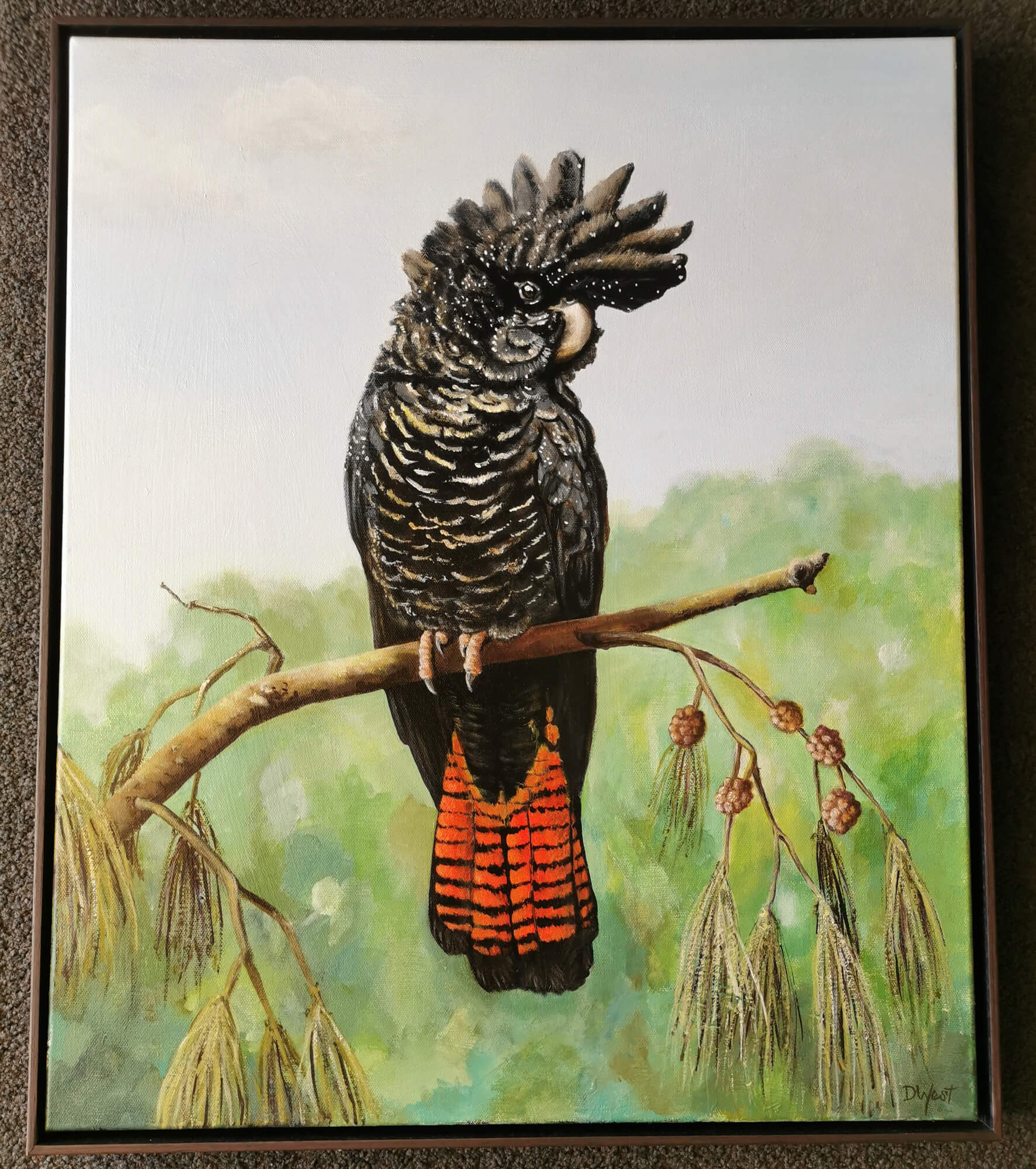 Red tail Black Cockatoo - The Doyles Art Award