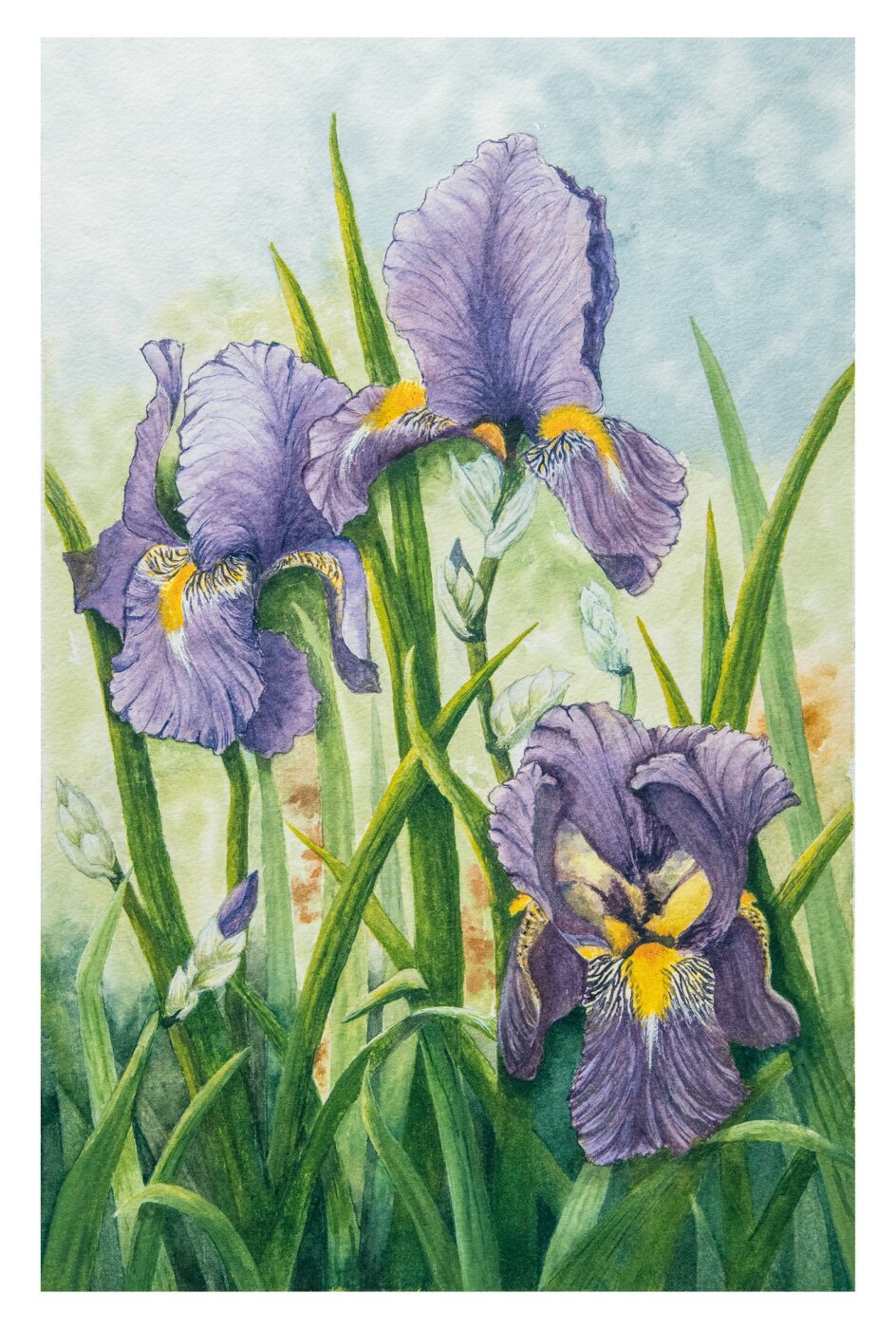 A-2024-Gail-Geronimos-Three-Irises