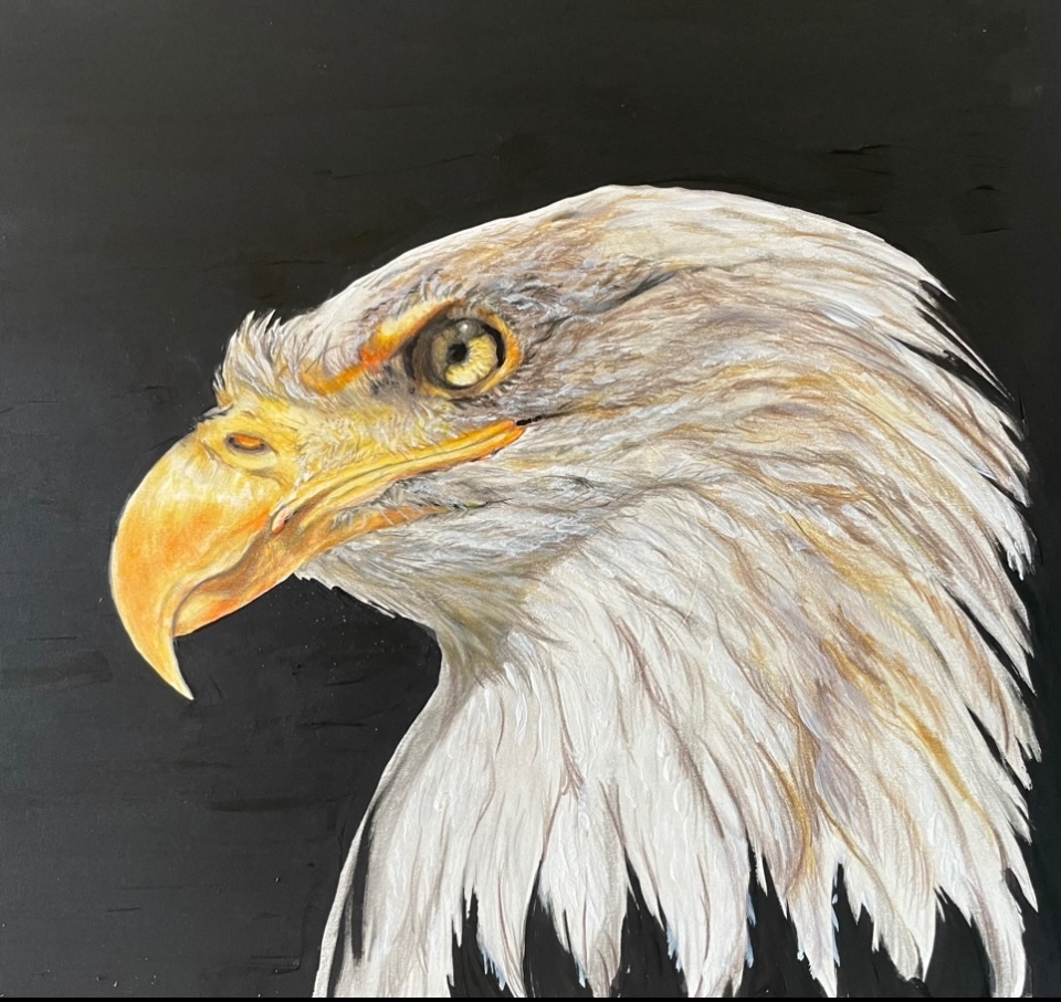 A-2024-Julie-Taylor-Keeping-an-Eagle-Eye