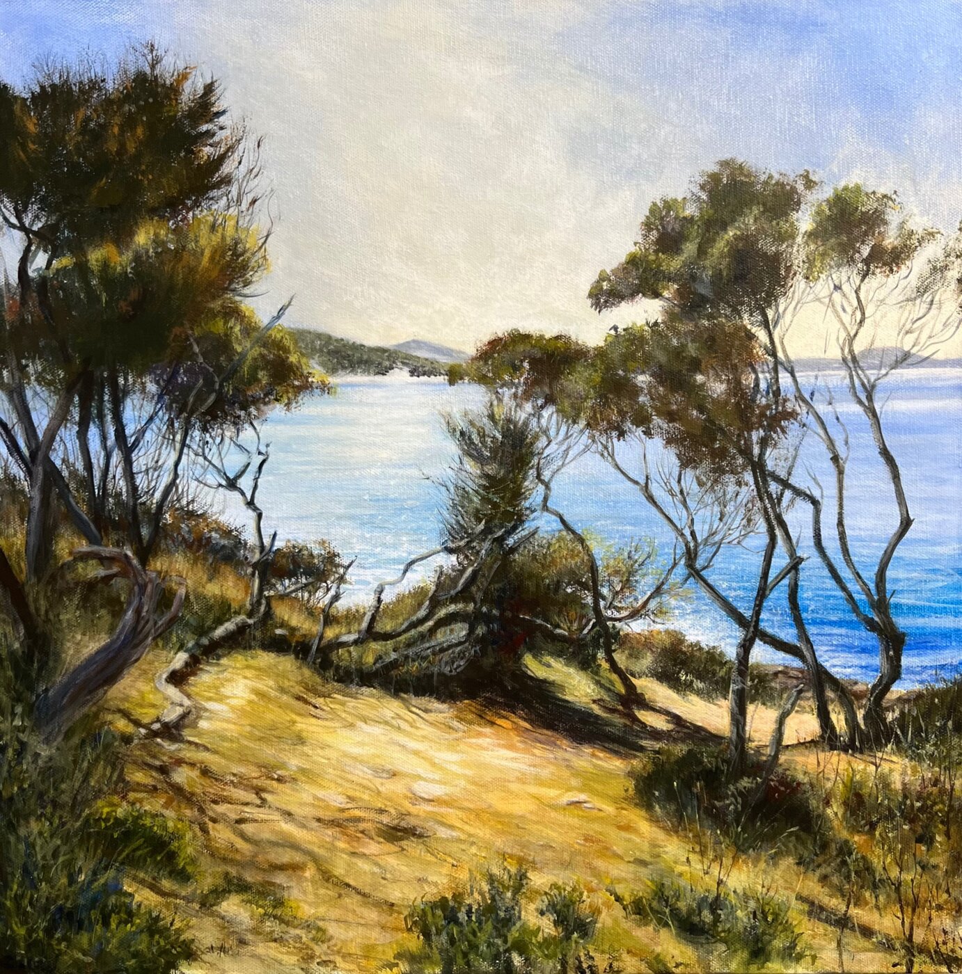 A-2024-Louise-Burgess-The-Old-Coastal-Trees