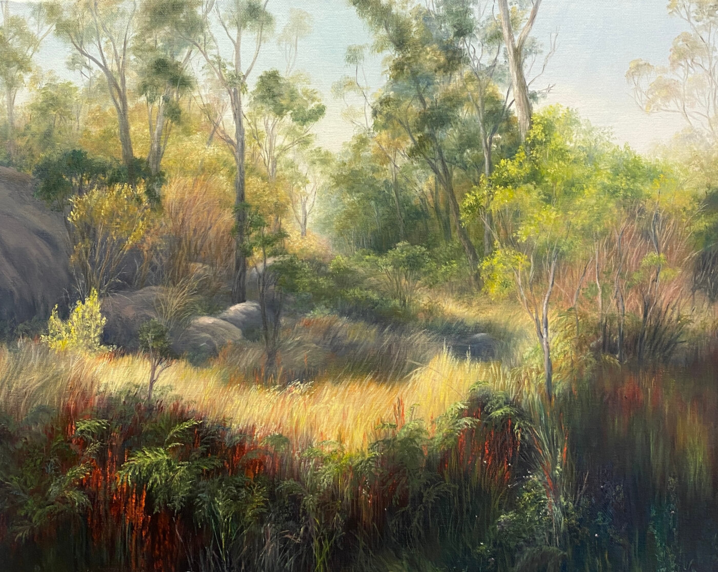 A-2024-Lyn-Condon-Girraween-National-Park