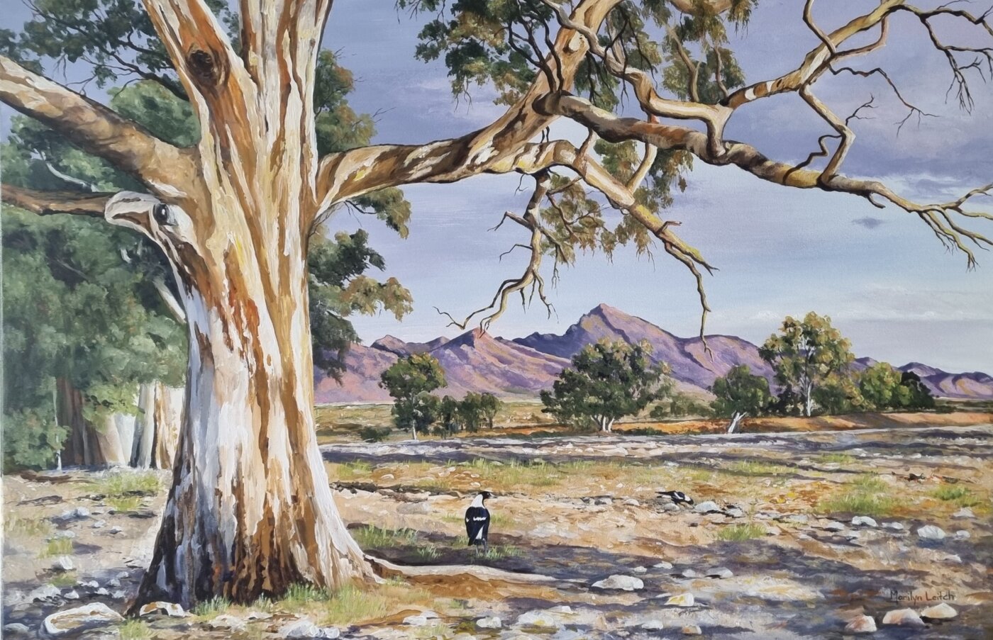 A-2024-Marilyn-Leitch-River-Gums-amp-Shadows