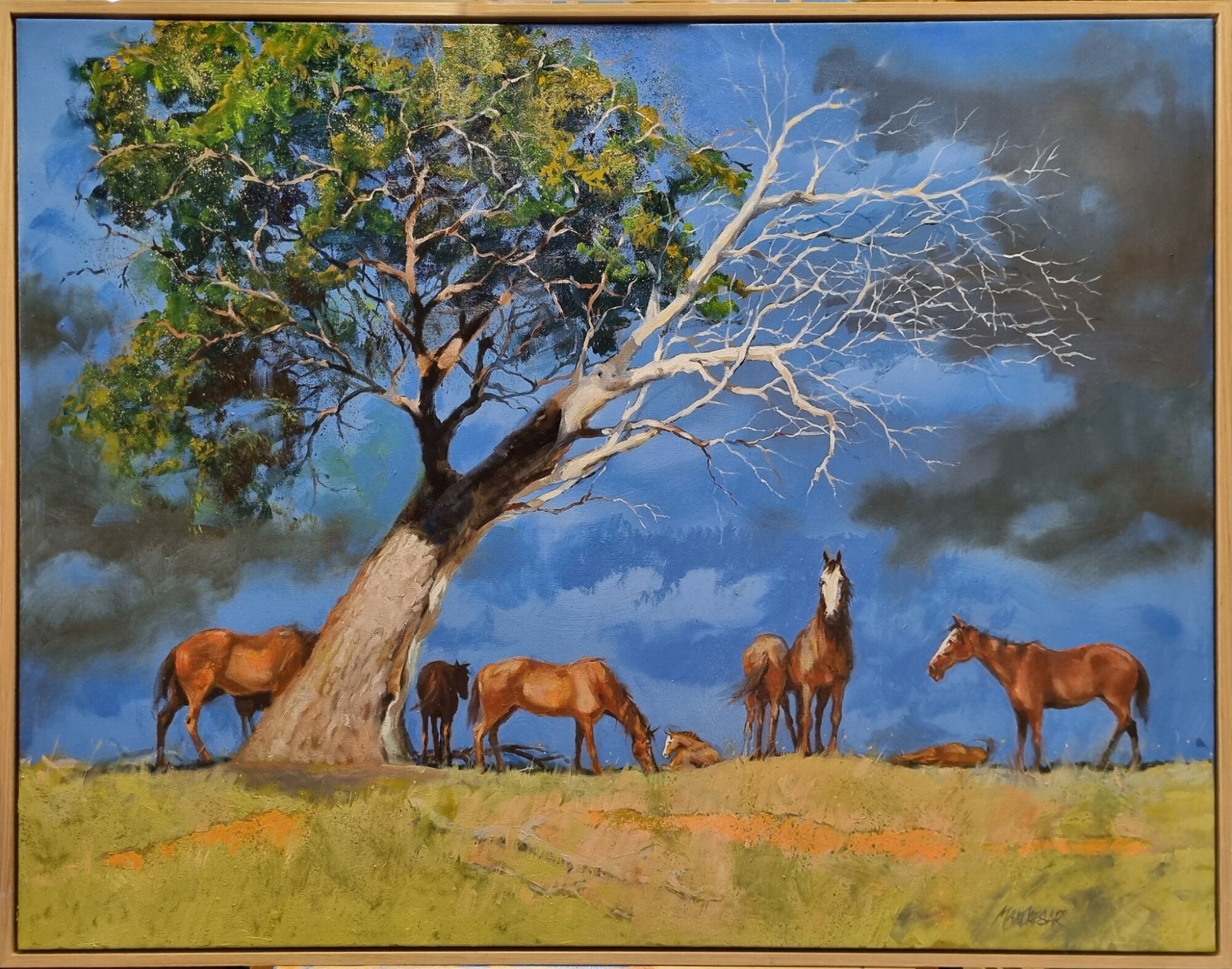 The Nursery Paddock - The Doyles Art Award