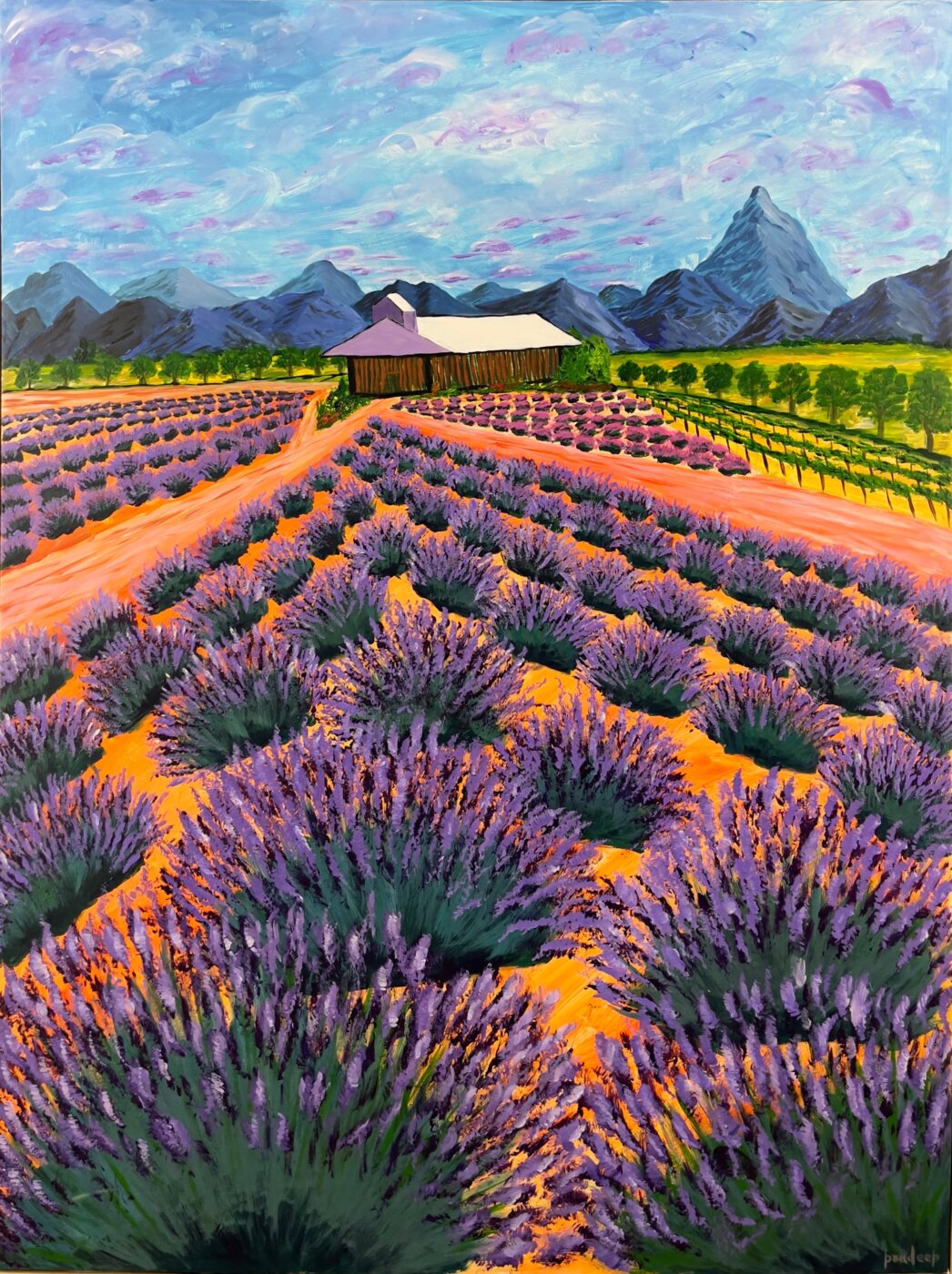 A-2024-Pradeep-Bathini-Lavender-farm-Kooroomba