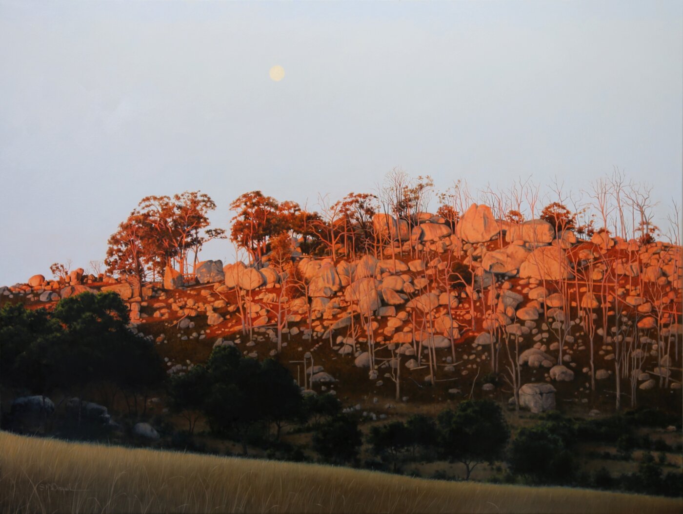 A-2024-Scott-MCDOUGALL-Autumn-Moon-Tenterfield