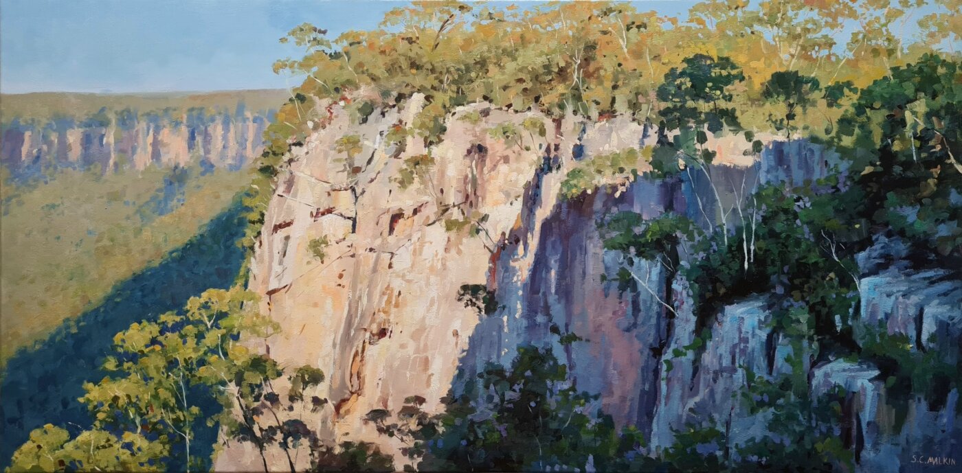 A-2024-Sophie-Malkin-Cliff-Face-Springbrook