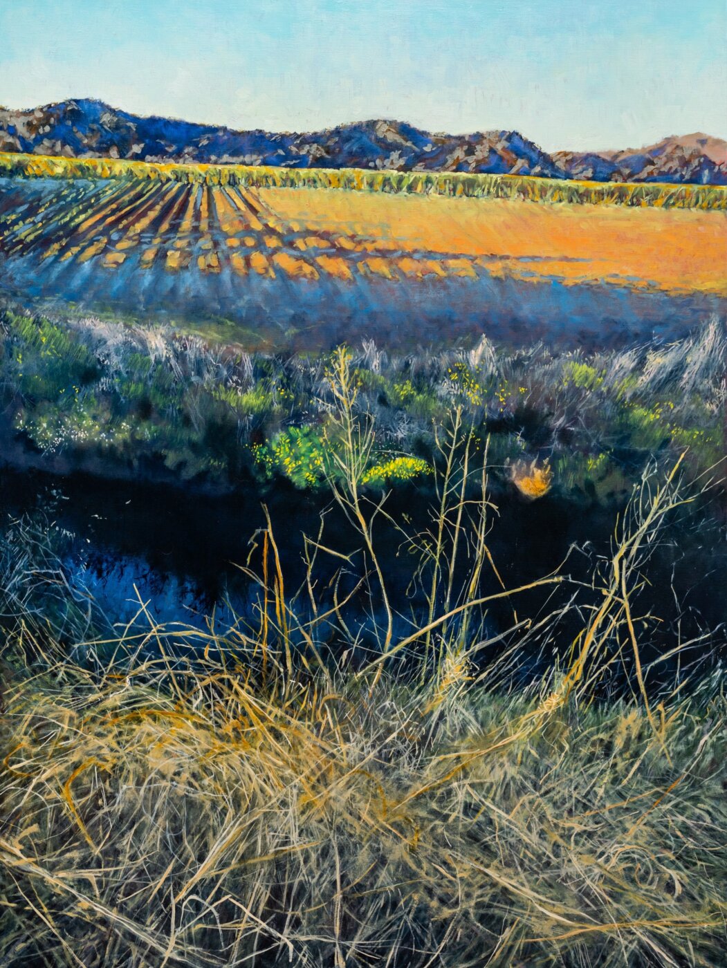 A-2025-Doug-Mcneill-Sugarcane-Vibes-Murwillumbah