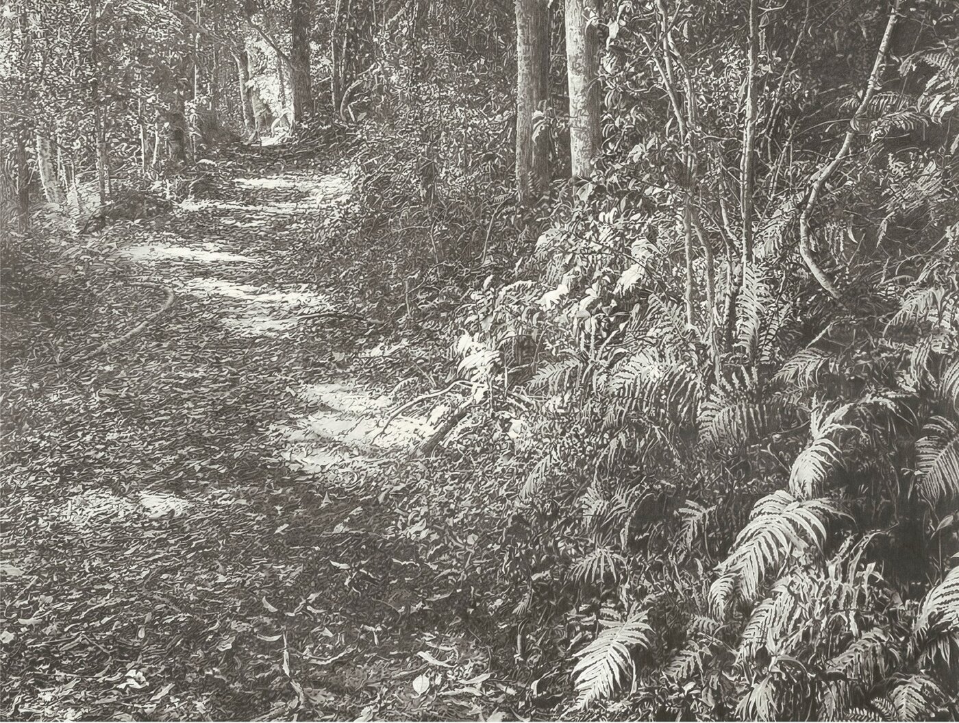 A-2025-Janelle-Harwood-Forest-Path-Witches-Falls A-2025-Janelle-Harwood-Forest-Path-Witches-Falls