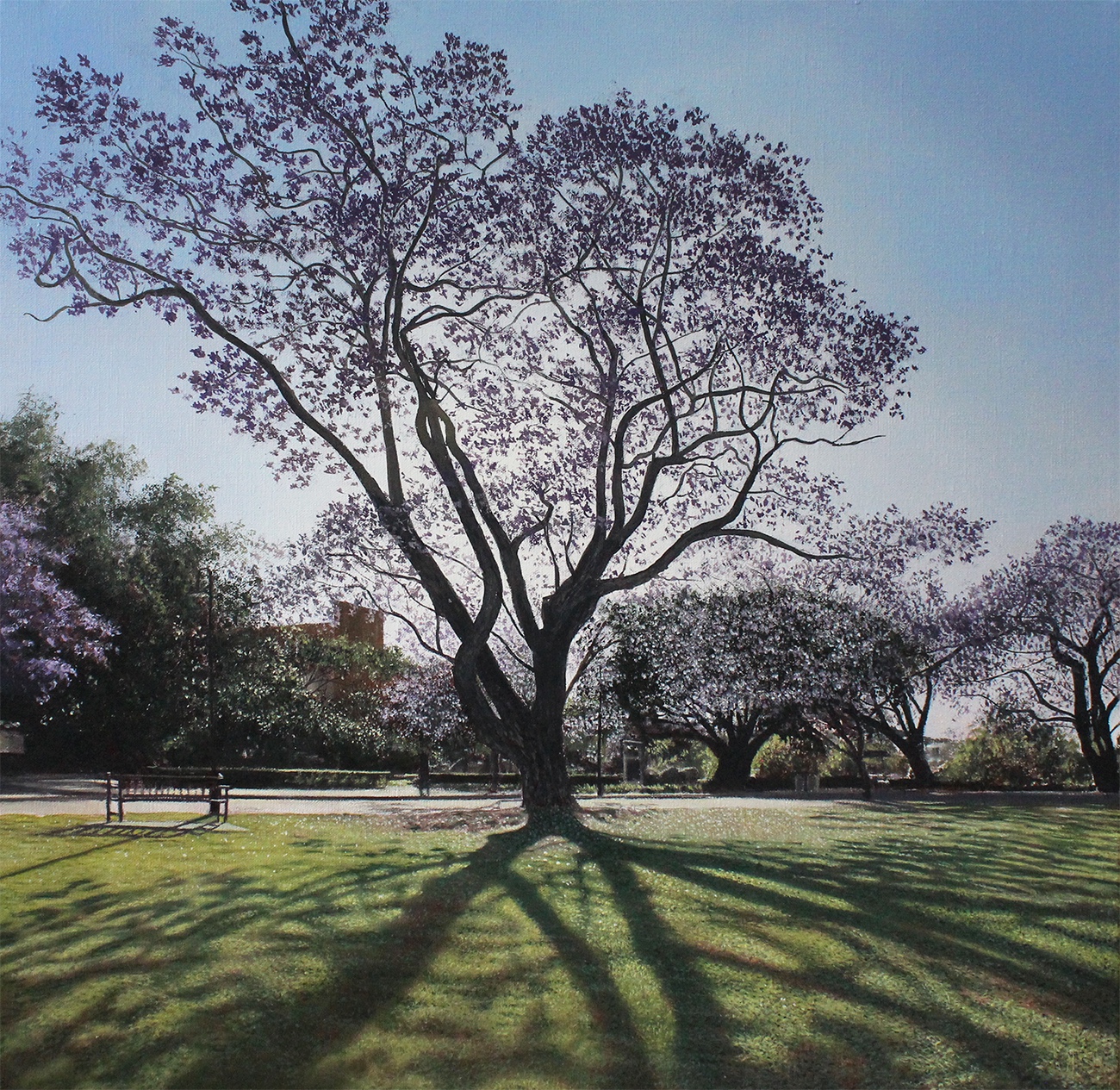 A-2025-Lars-Vester-Purple-Glow-No.3-New-Farm-Park-Brisbane