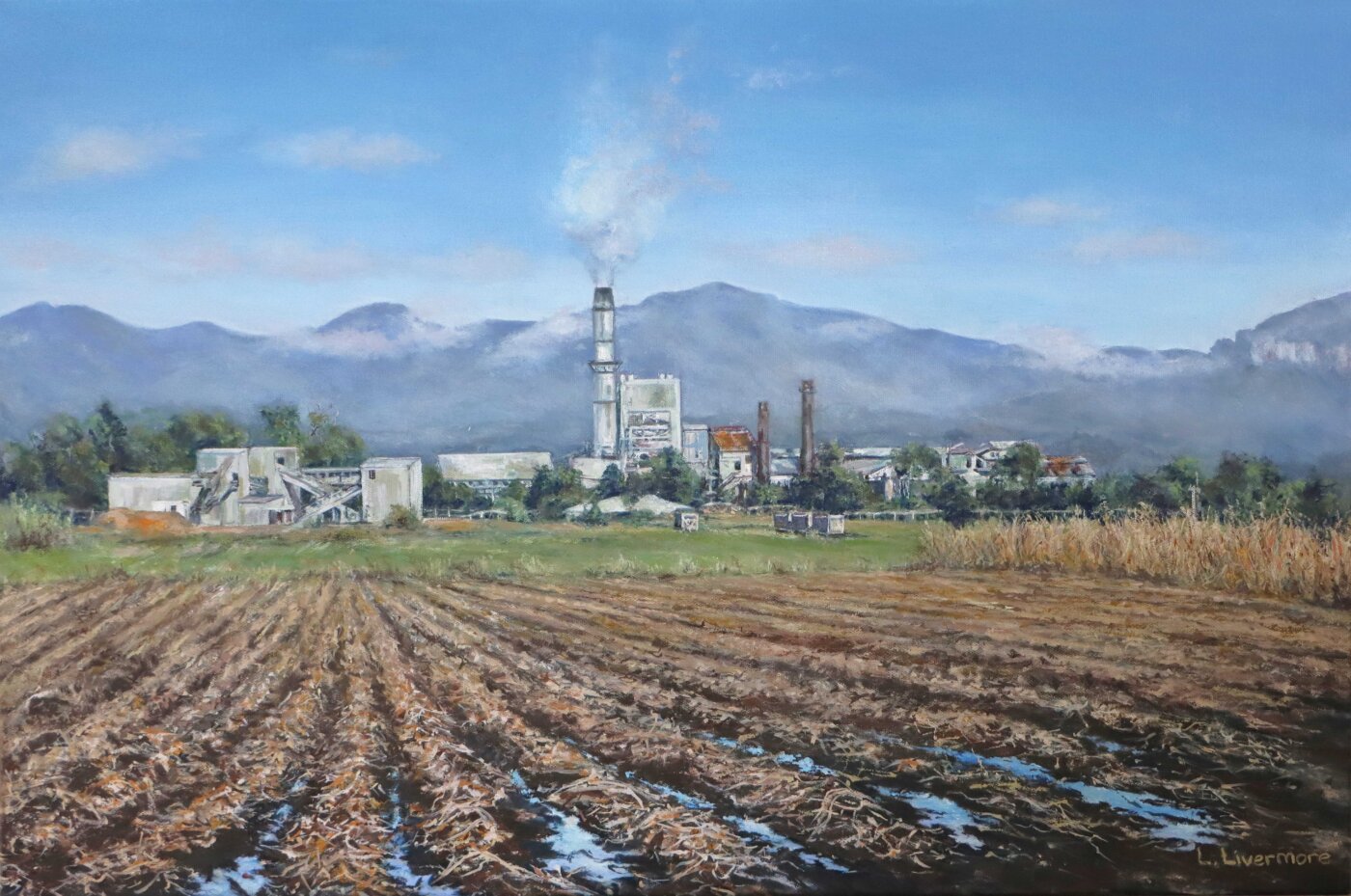 A-2025-Leesa-Livermore-Harvest-Time-Condong-Sugar-Mill A-2025-Leesa-Livermore-Harvest-Time-Condong-Sugar-Mill
