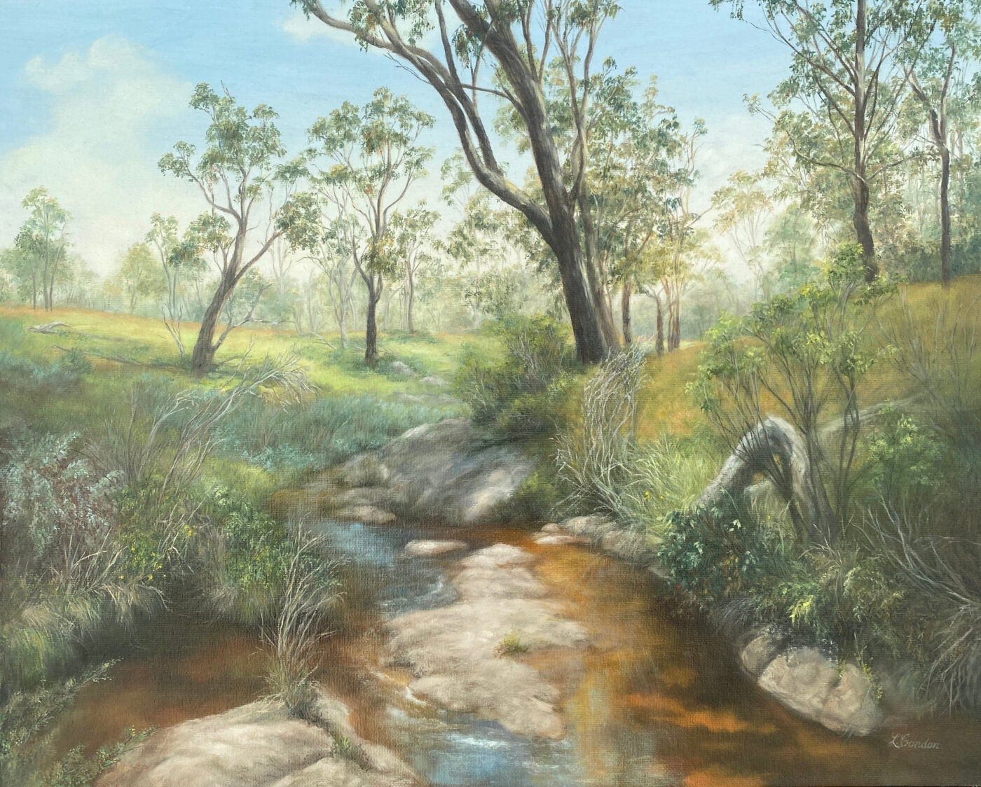 A-2025-Lyn-Condon-Boonoo-Boonoo-National-Park-near-Tenterfield A-2025-Lyn-Condon-Boonoo-Boonoo-National-Park-near-Tenterfield