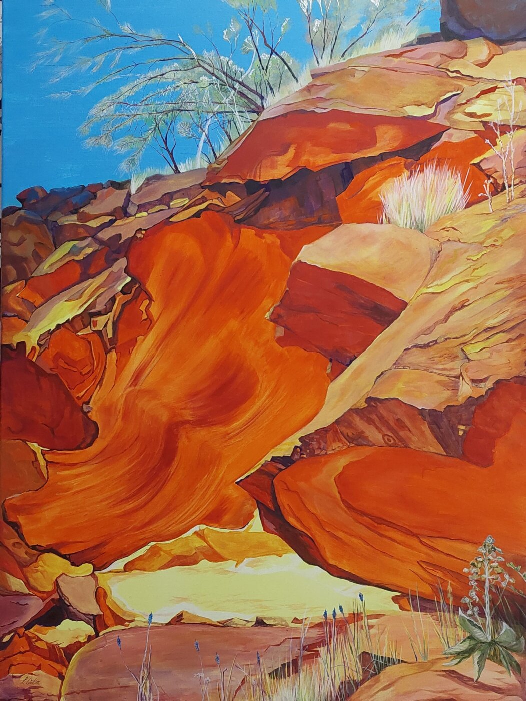 A-2025-Lyn-Onton-O039Shea-Watarrka-Country