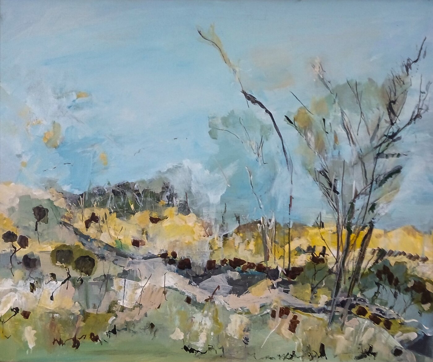 A-2025-Matthew-Armstrong-Goonoo-Forest-Wattle