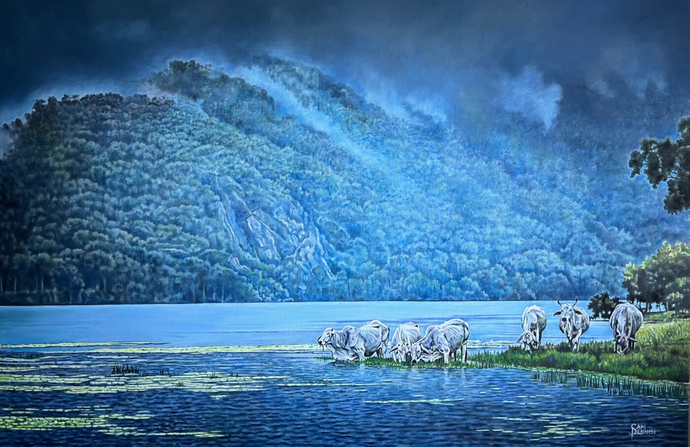 A-2025-Sam-Pennisi-Eungella-Dam