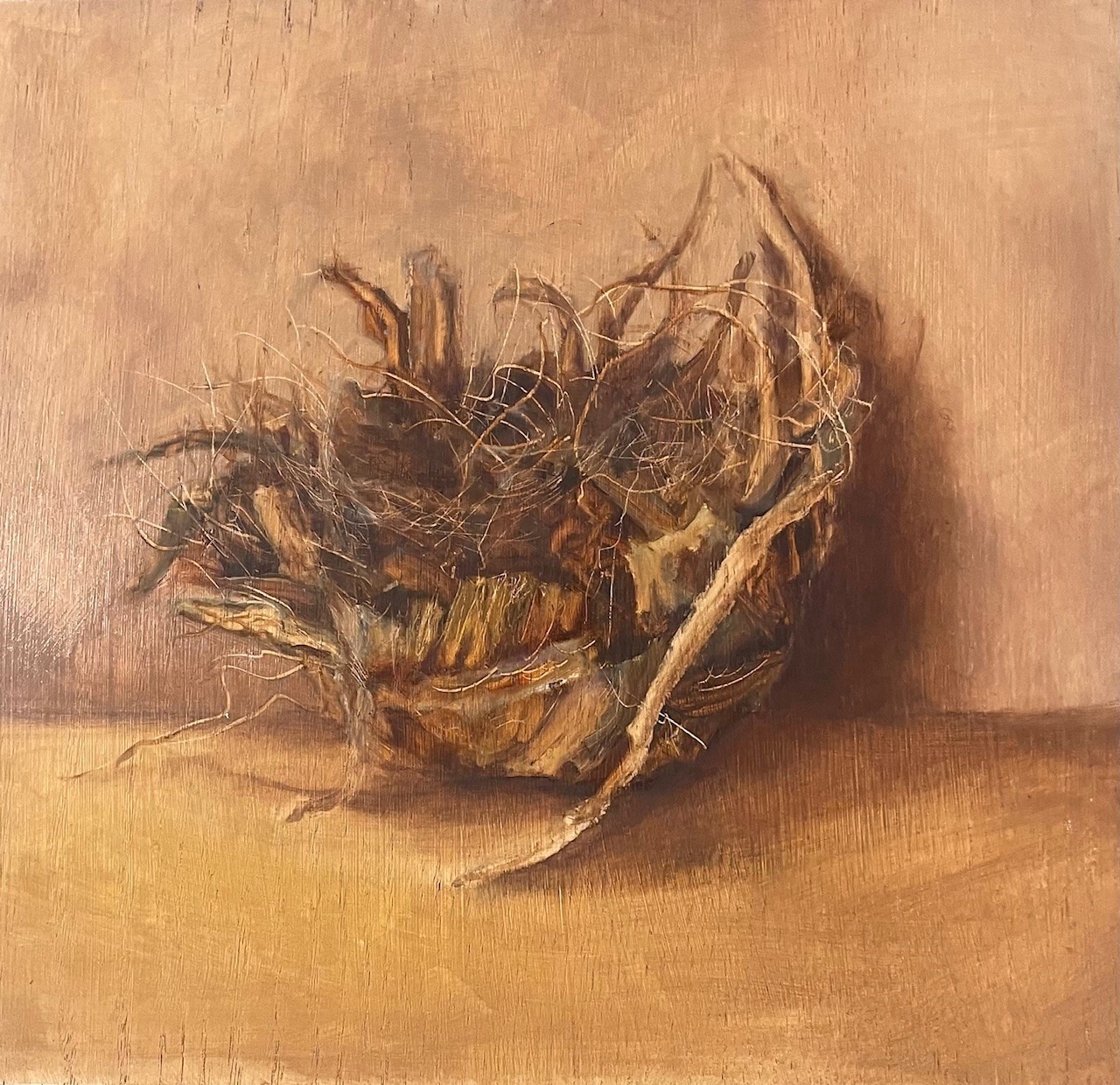 A-2025-Sophie-Duke-Yonge-Paperbark-Nest A-2025-Sophie-Duke-Yonge-Paperbark-Nest