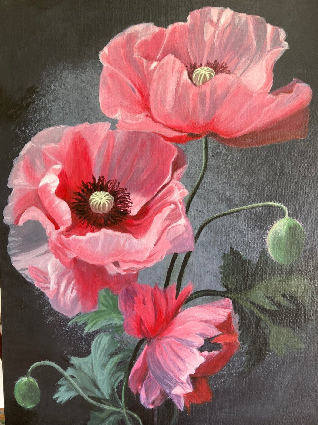 A-2025-Stephanie-Flett-Poppy-Love A-2025-Stephanie-Flett-Poppy-Love
