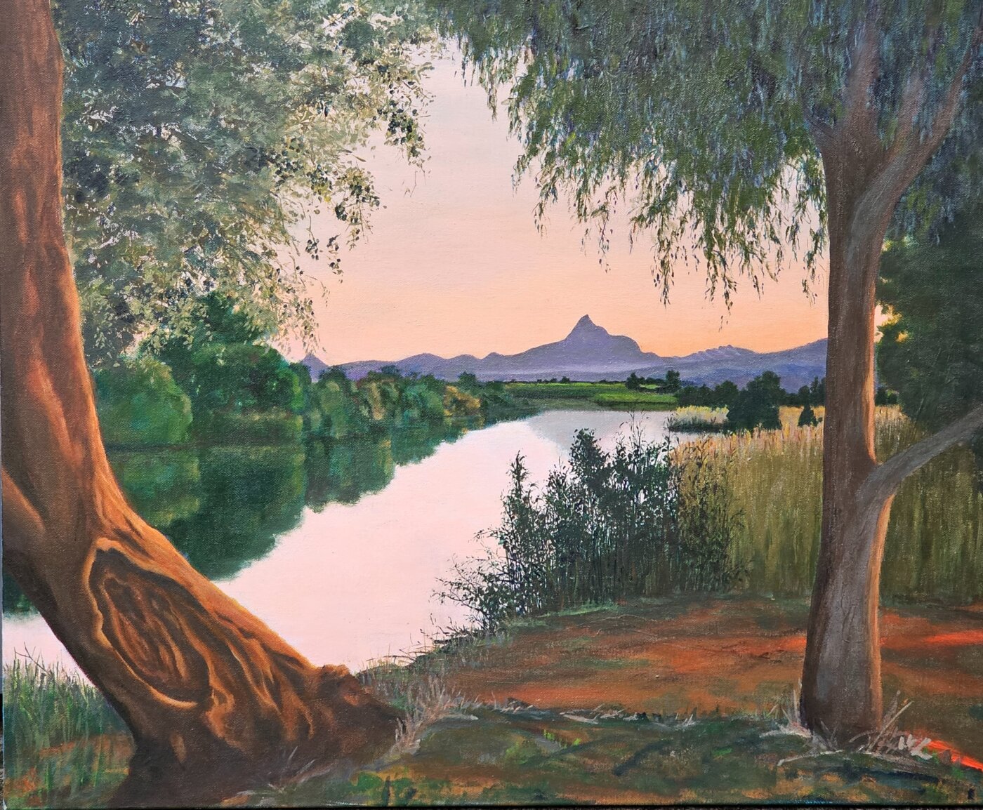 A-2025-Suzanne-Bourke-Stillness