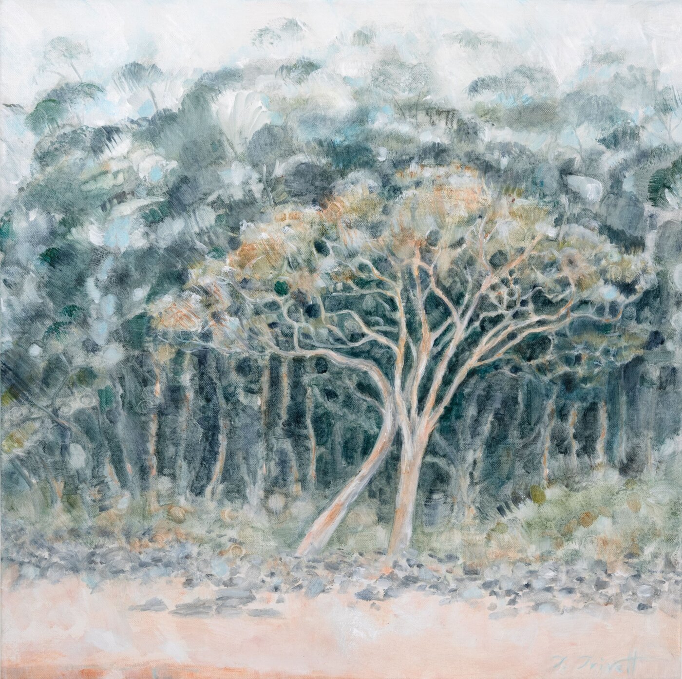 A-2025-Terri-Trivett-Love-Trees-at-Tea-Tree-Bay-2