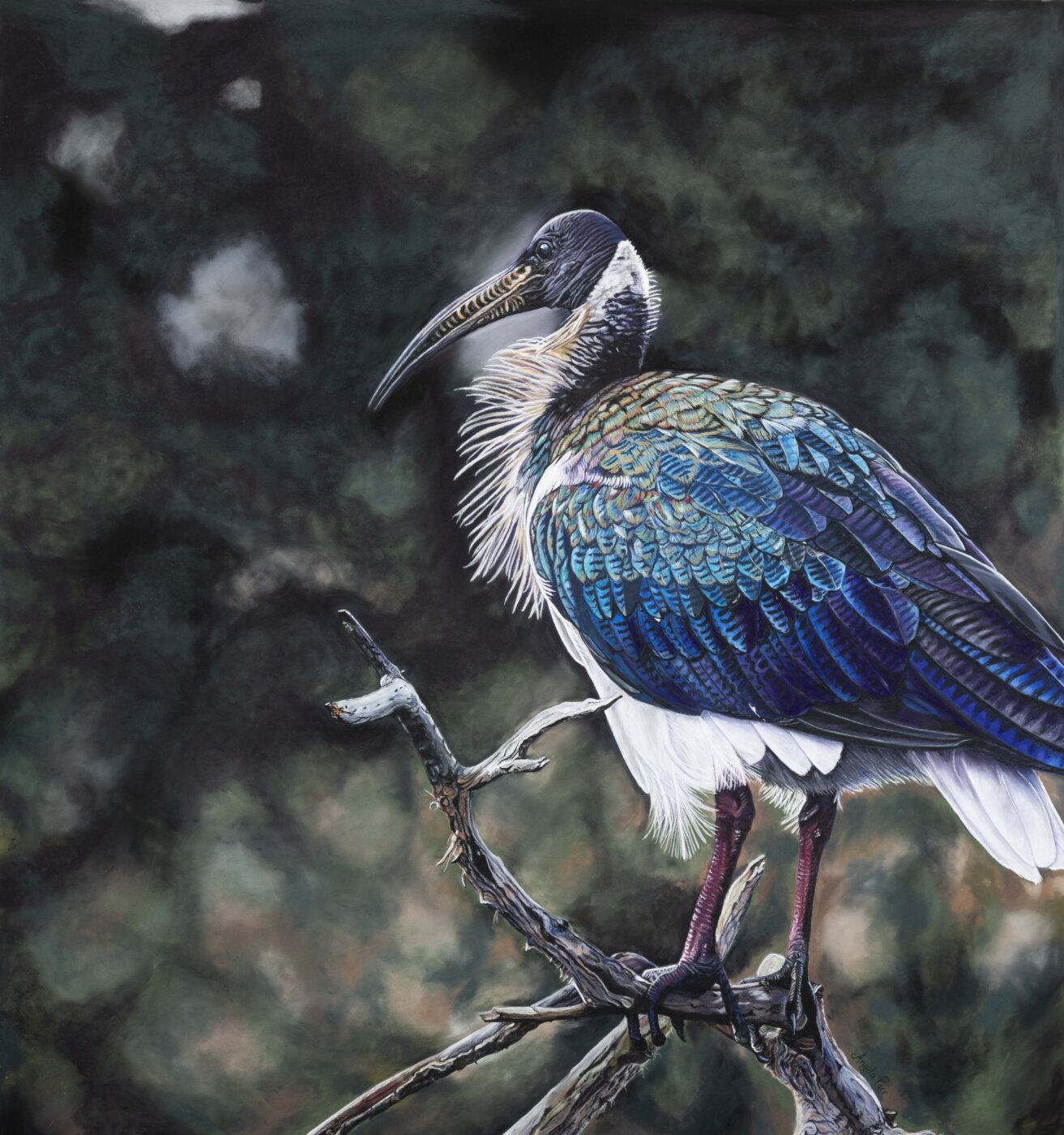 A-2026-Angela-Parr-Resplendent