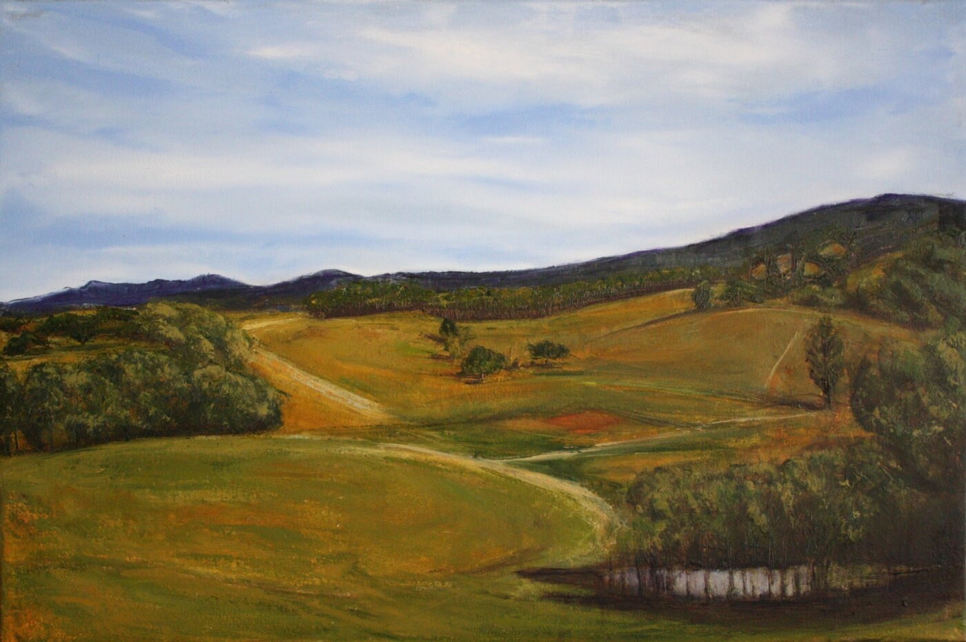 A-2026-Carmel-Montague-Rolling-Light
