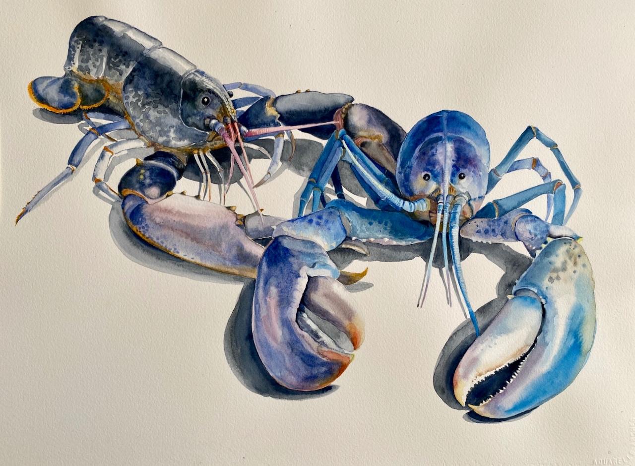 A-2026-Carol-Croad-Lobster-Dual