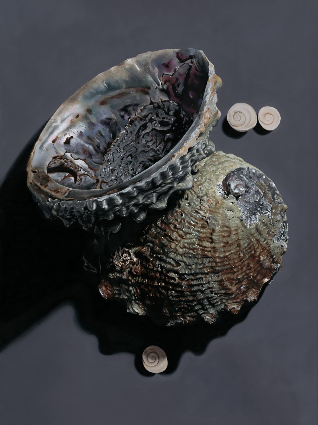 A-2026-Catherine-Webb-Iridescent-Abalones
