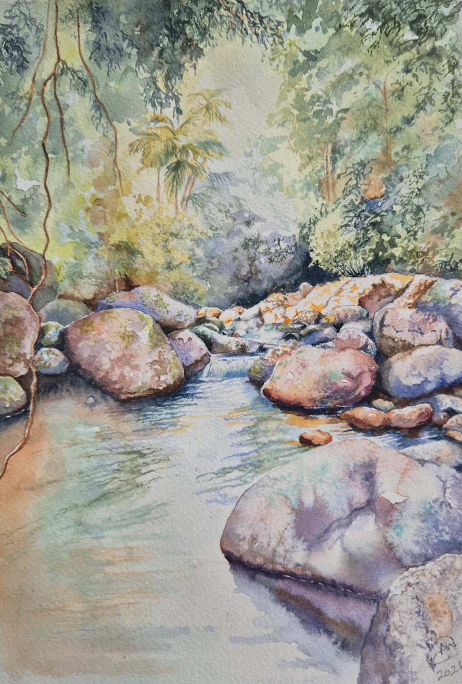 A-2026-Christine-Wilkins-Serenity-Lamington-National-Park