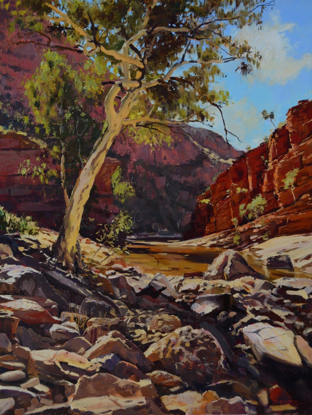 A-2026-Darren-Meader-Standing-Strong-Ormiston-Gorge