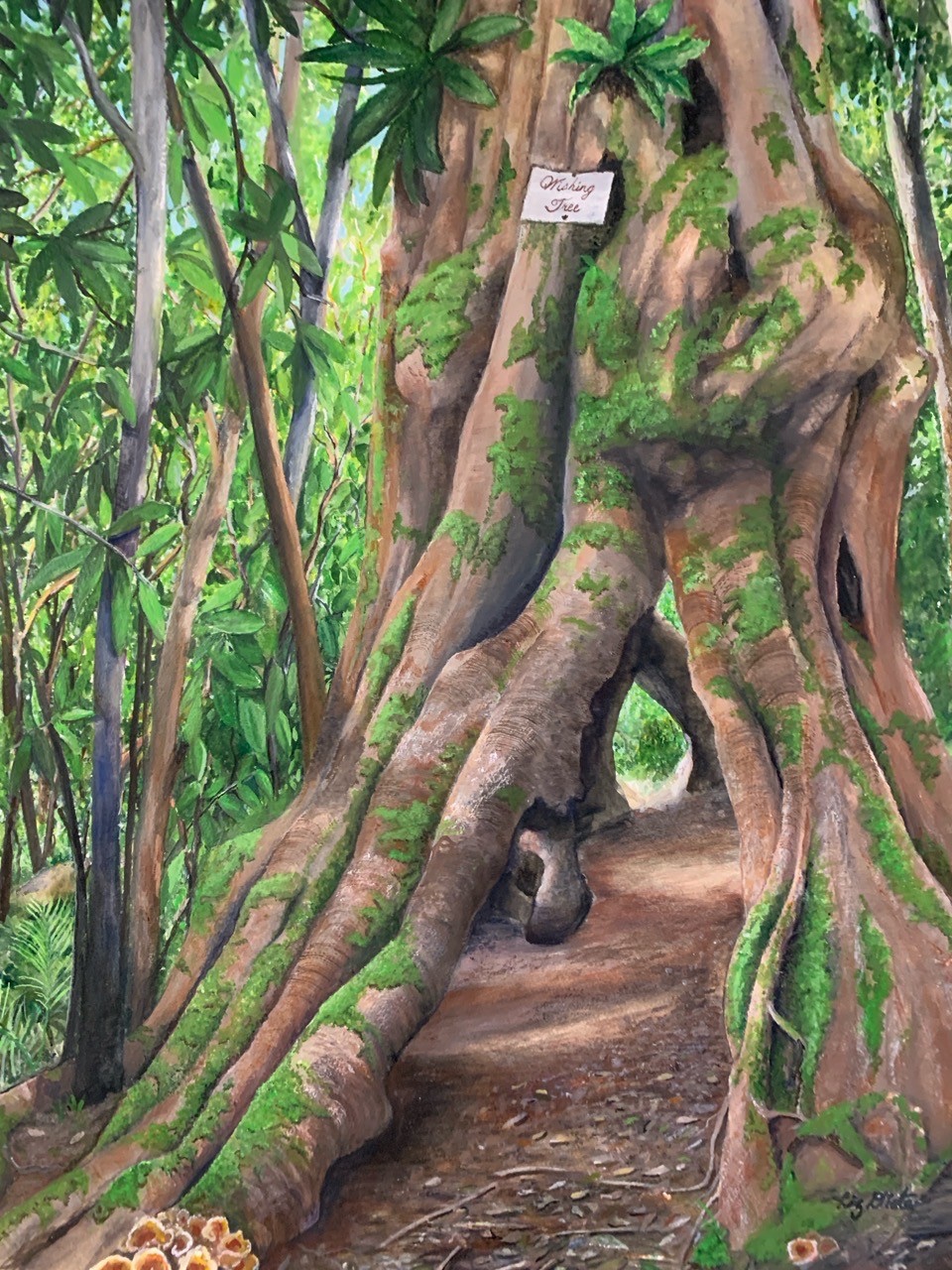 A-2026-Elizabeth-Liz-Dieter-The-Wishing-Tree-Lamington-National-Park