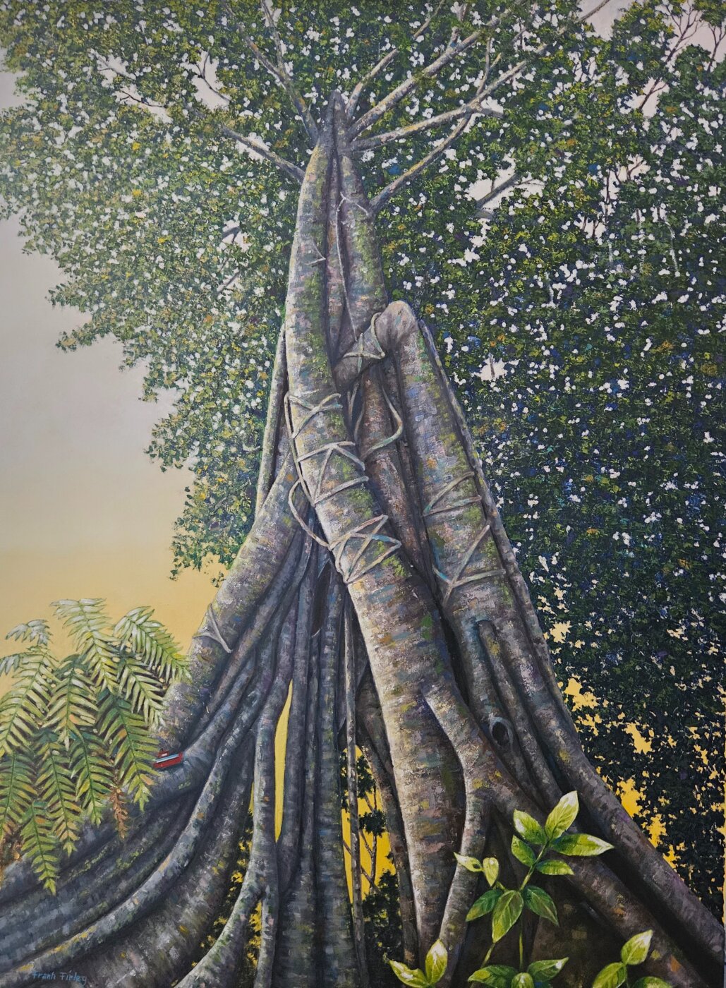 A-2026-Francis-Firley-Strangler-Fig