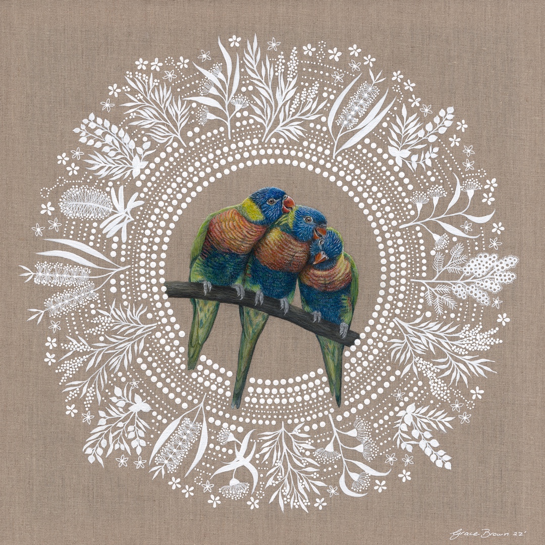 A-2026-Grace-Brown-Rainbow-Lorikeets-Spirit