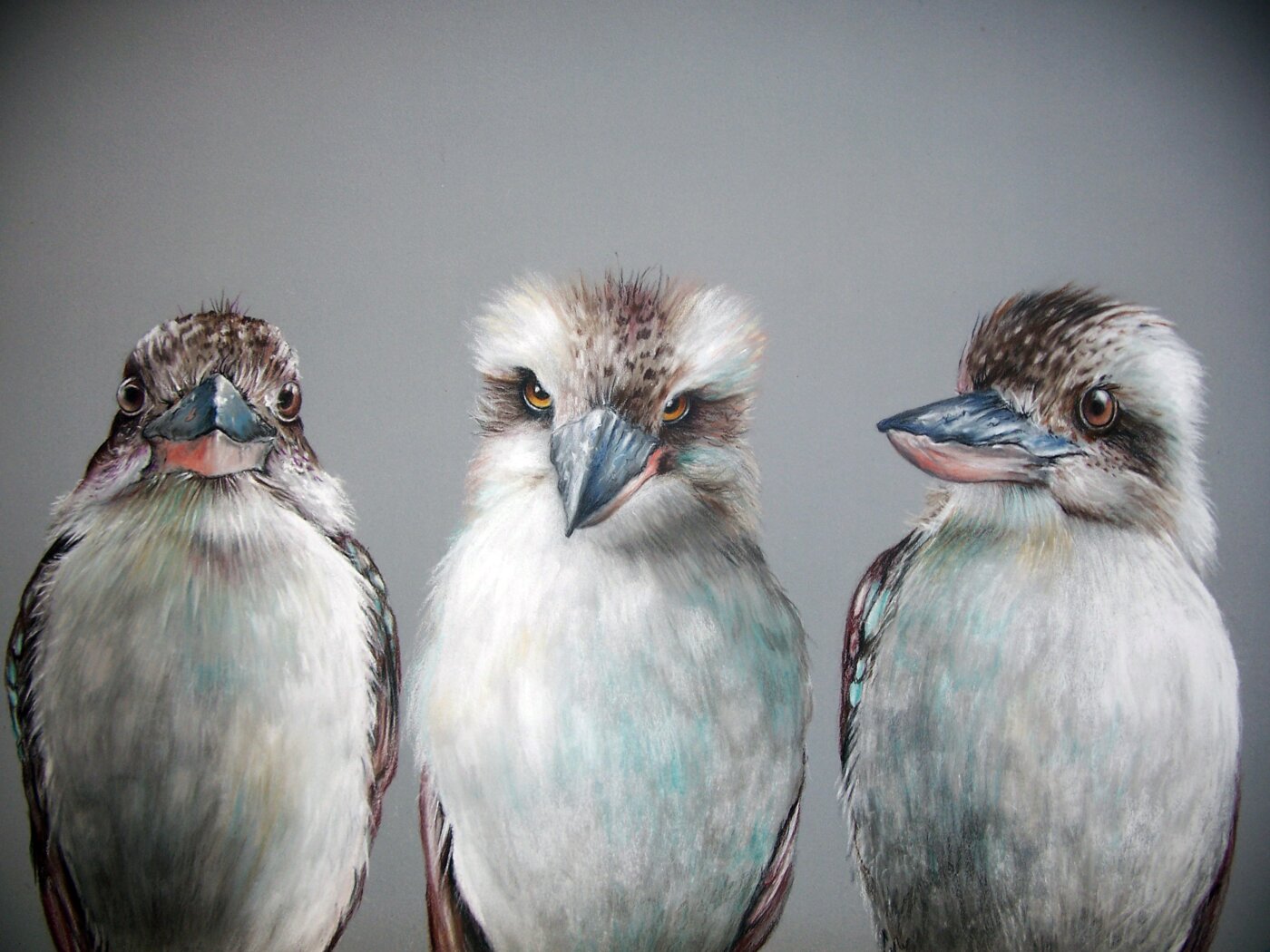A-2026-Hazel-Mary-Cope-Birds-in-My-Garden-I039m-in-Charge-Today