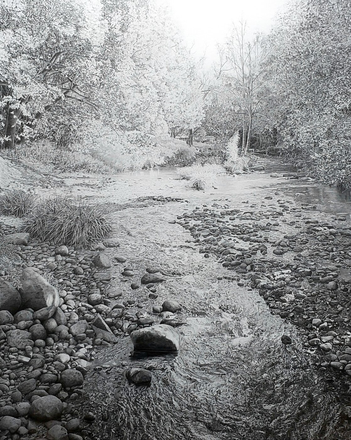 A-2026-Janelle-Harwood-Valley-Creek
