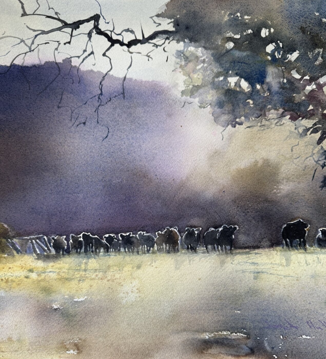 A-2026-Janet-Halliday-Morning-Mist