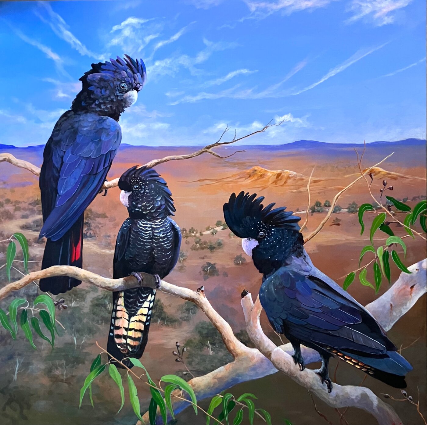 A-2026-John-Leyland-A-Birds-Eye-View