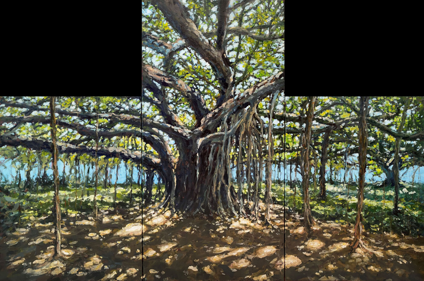 A-2026-Jules-Farrell-Moreton-Bay-Fig-by-the-River