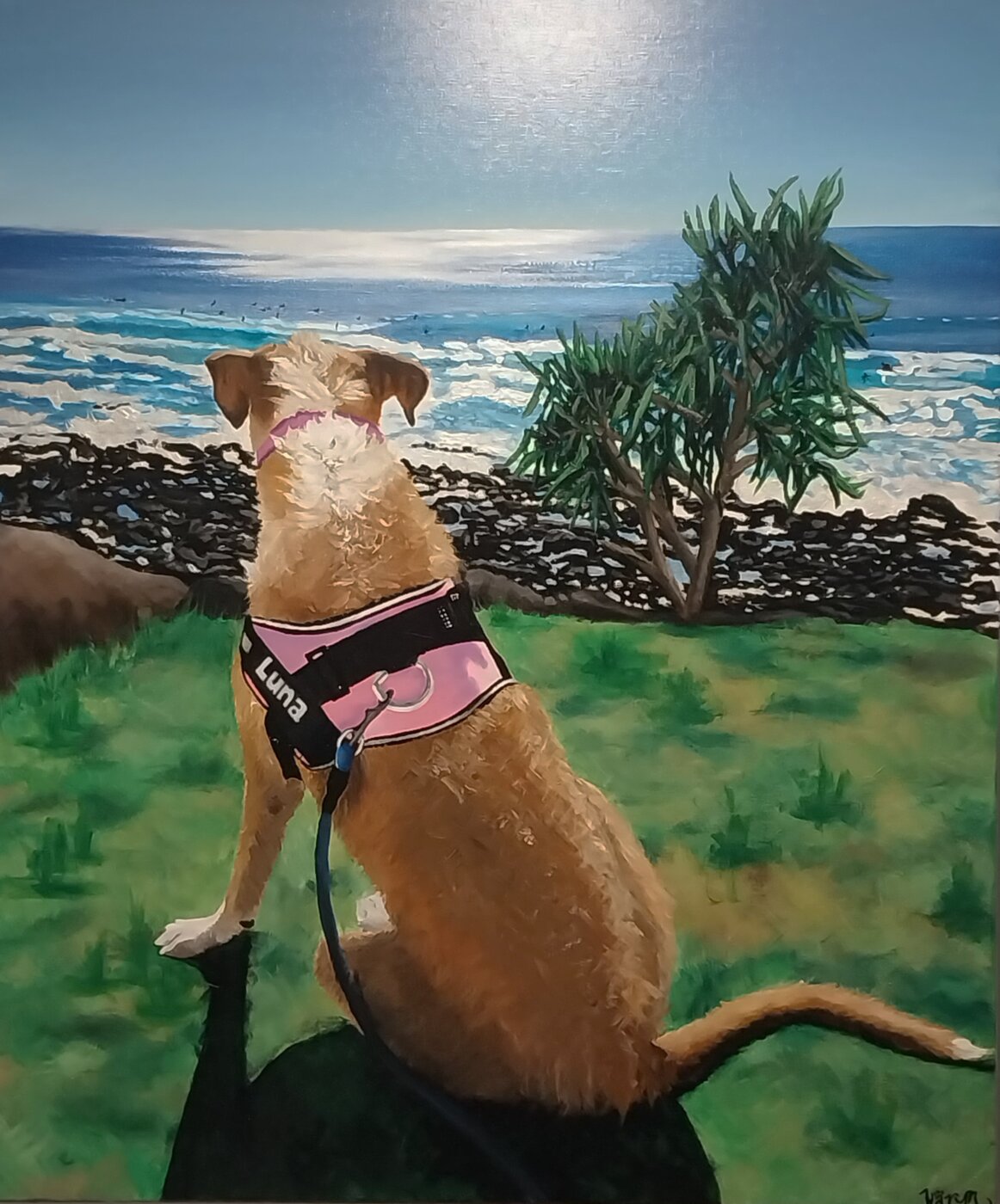 A-2026-KARYN-MCDONALD-Checking-out-the-surf-with-Big-Dog