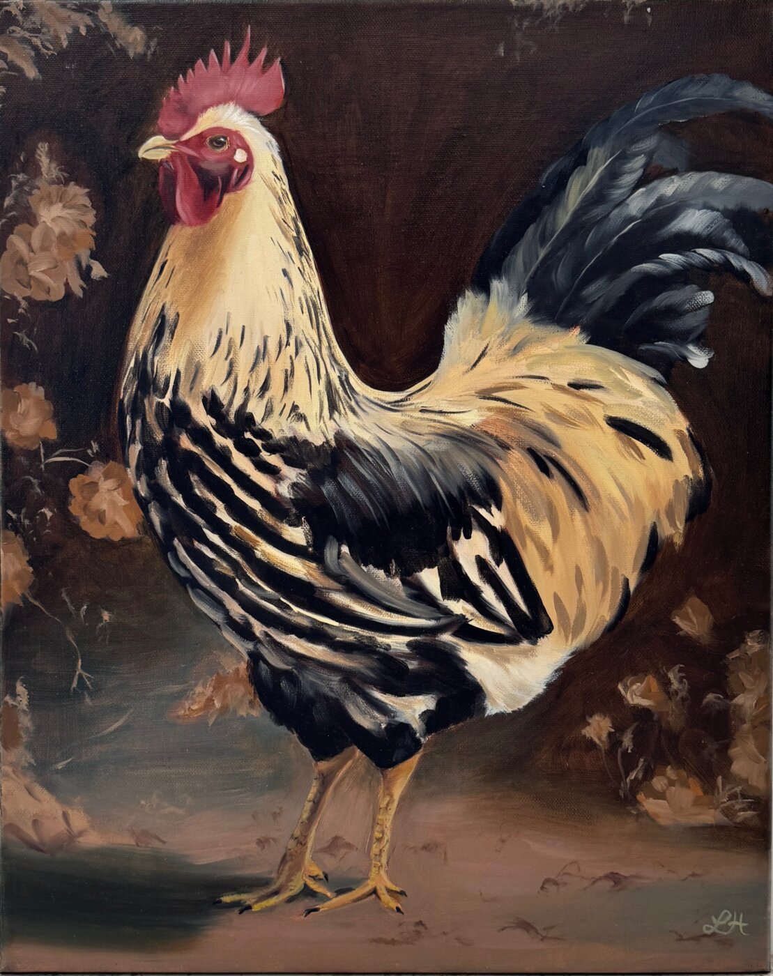 A-2026-Louisa-Hollenberg-Good-looking-rooster