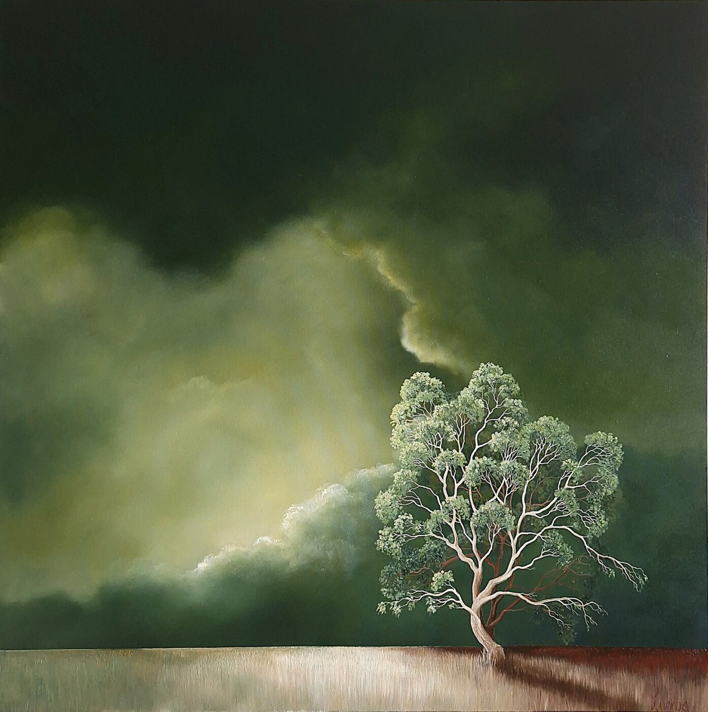 A-2026-Lucinda-Leveille-The-Tree-Holds