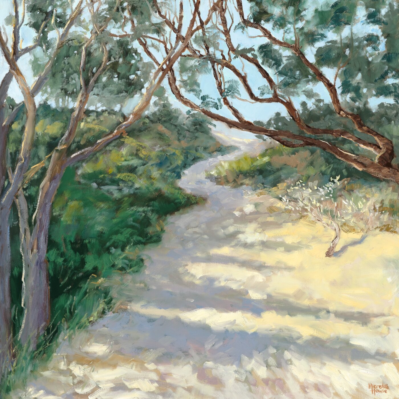 A-2026-Meredith-Howse-Australian-Coastal-Landscape