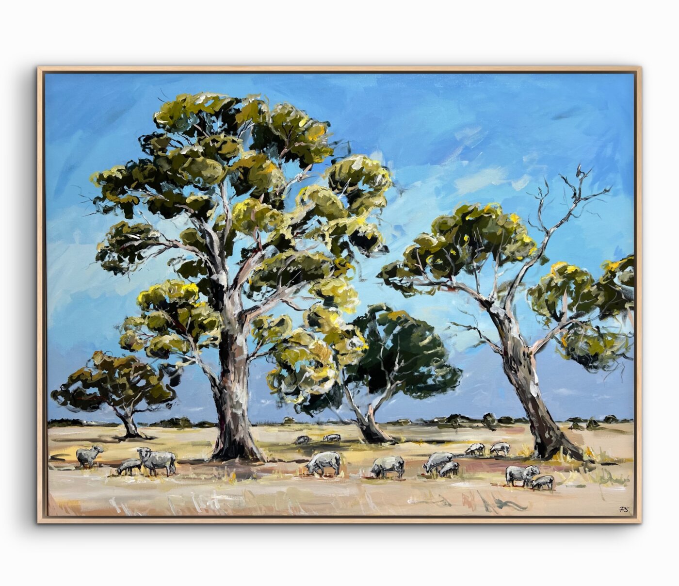 A-2026-Paula-Starrs-Under-The-Sovereign-Gums