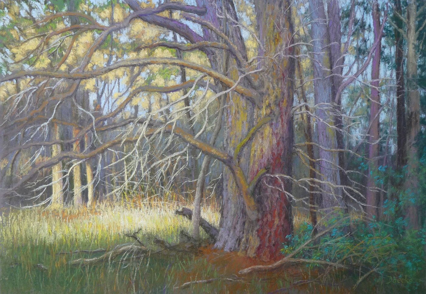 A-2026-Petra-Daecke-Two-old-Trees