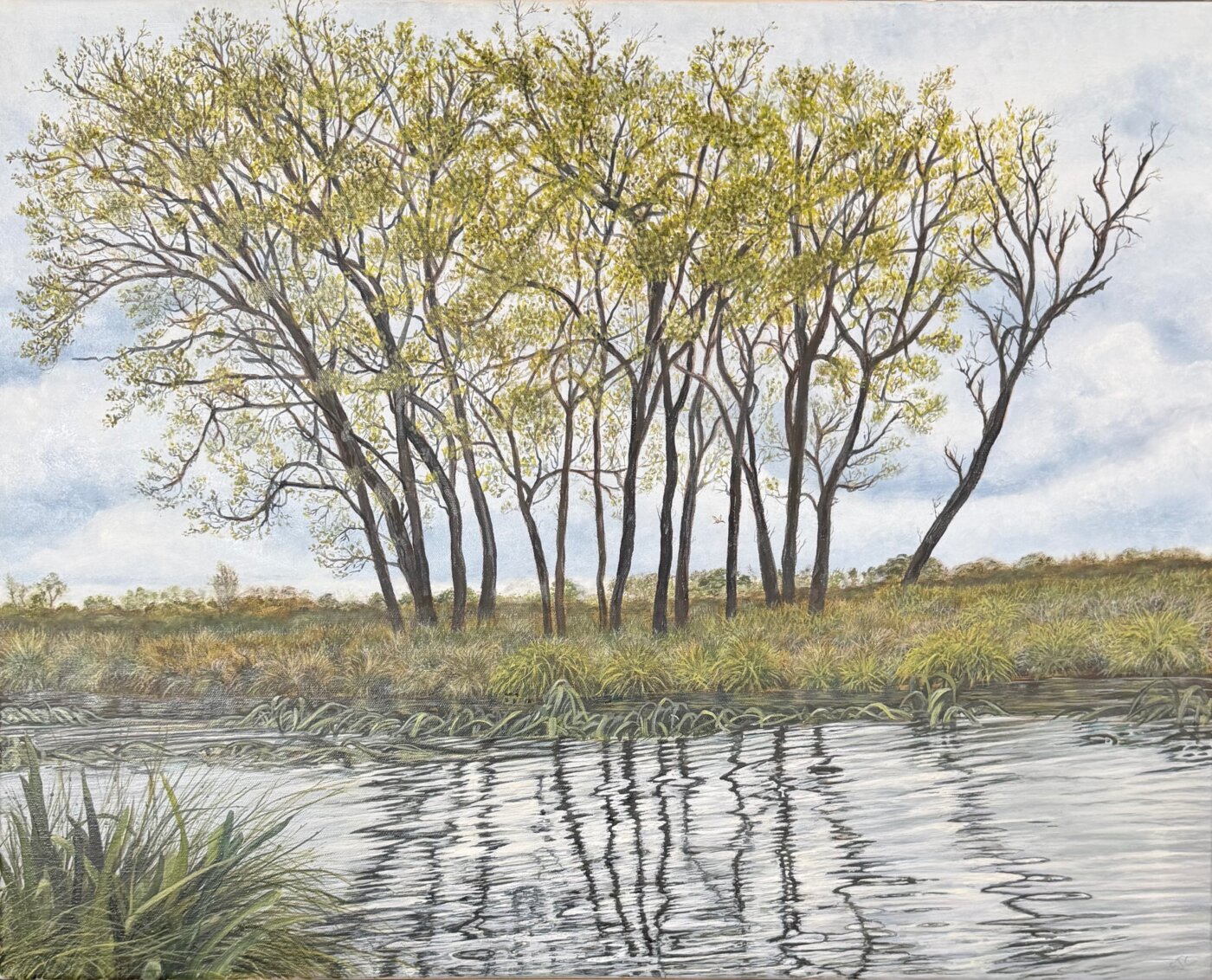 A-2026-Sarah-Crocker-Reflections-at-Lake-Wendouree