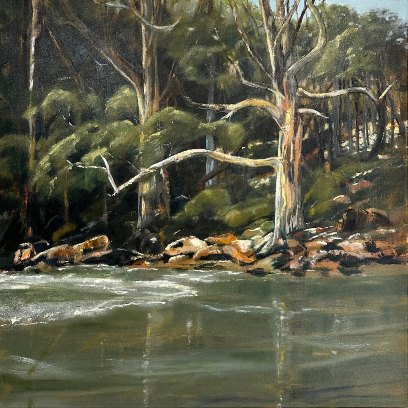A-2026-Trish-Evans-Bruny-Gums