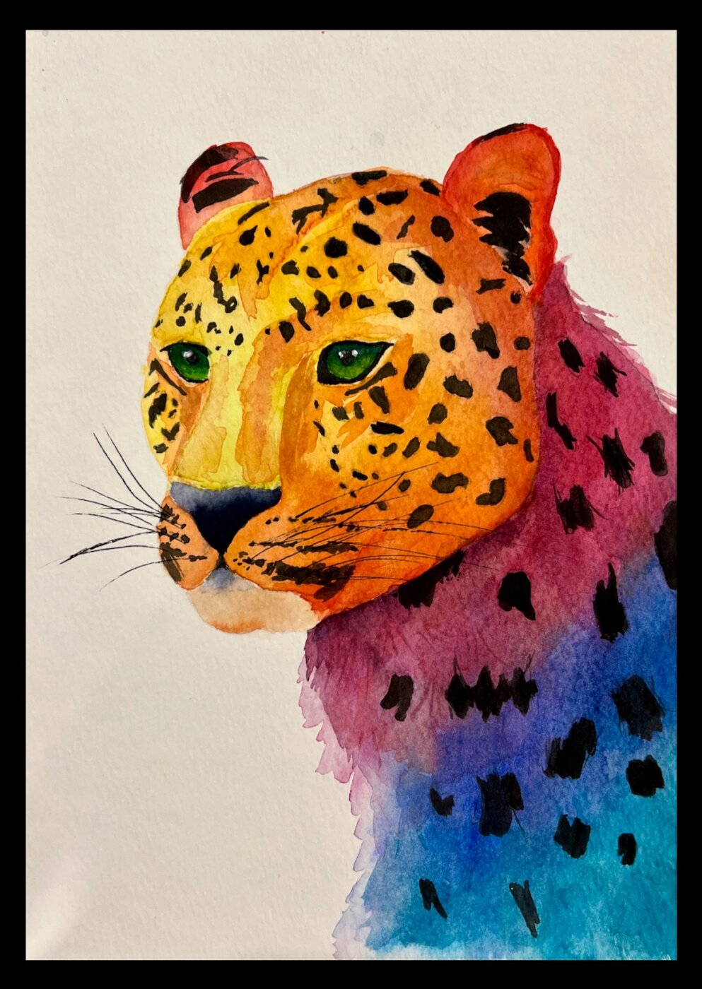 Cheetah