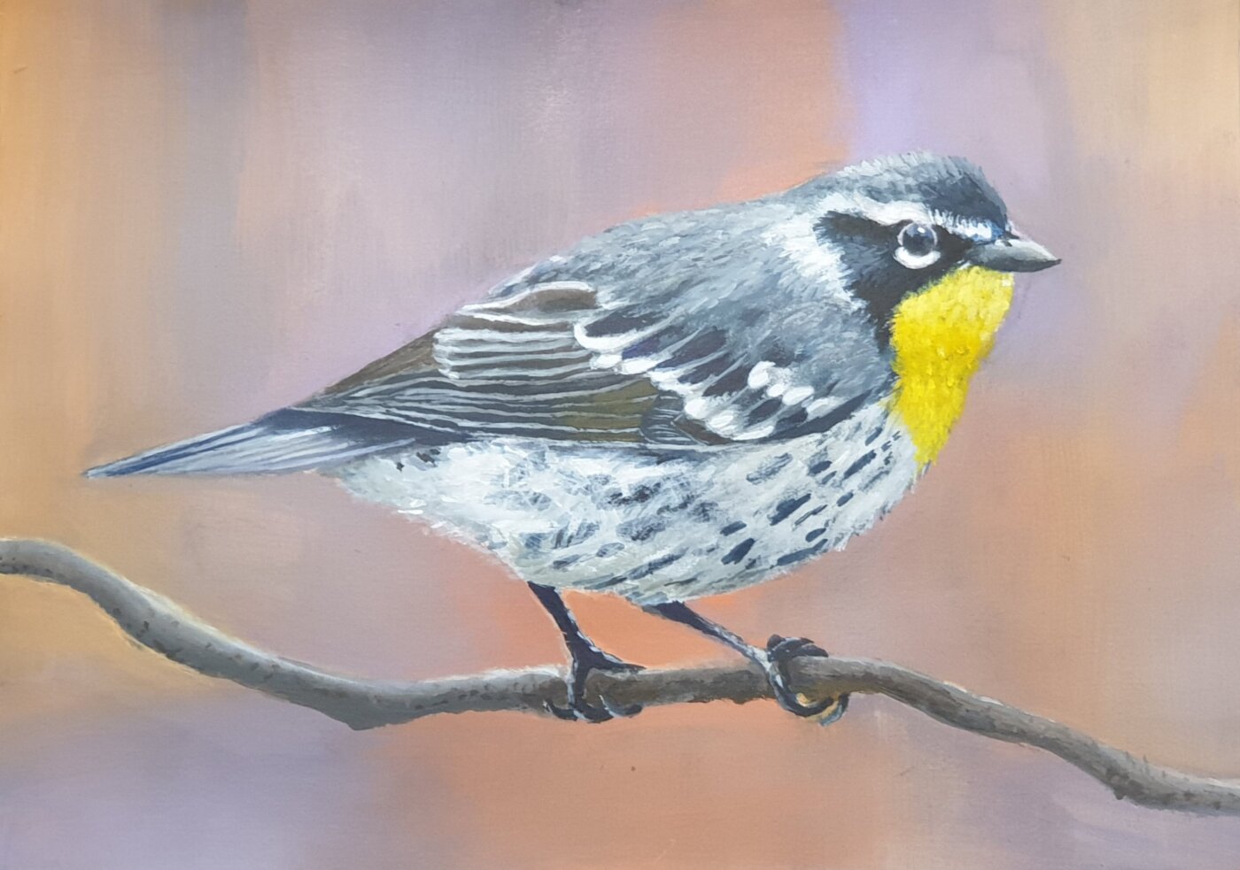 J-2025-Belle-Tsai-The-Yellow-Throated-Warbler