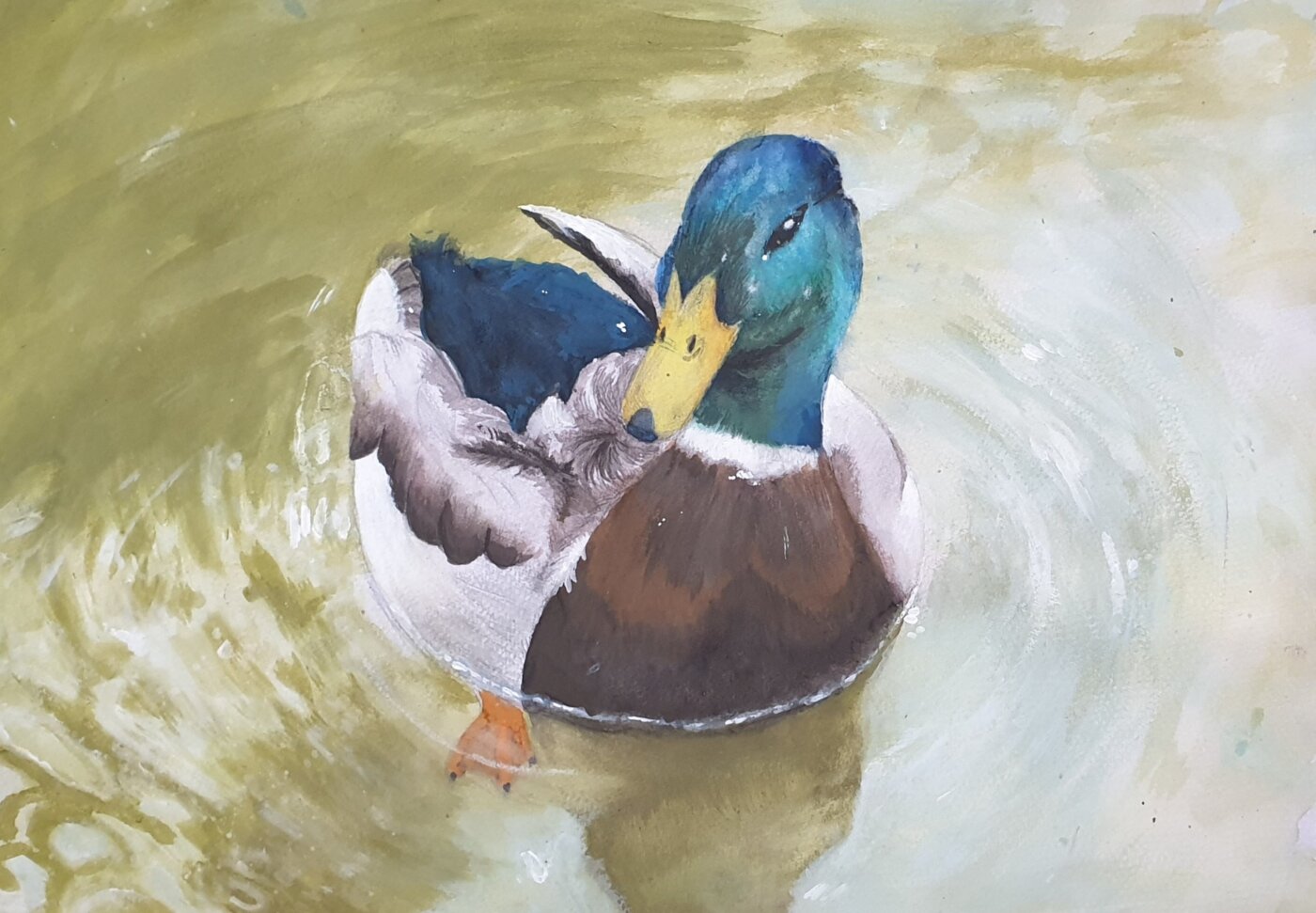 J-2025-JoannaYixin-Zeng-Drake-Swimming-in-the-Pond J-2025-JoannaYixin-Zeng-Drake-Swimming-in-the-Pond