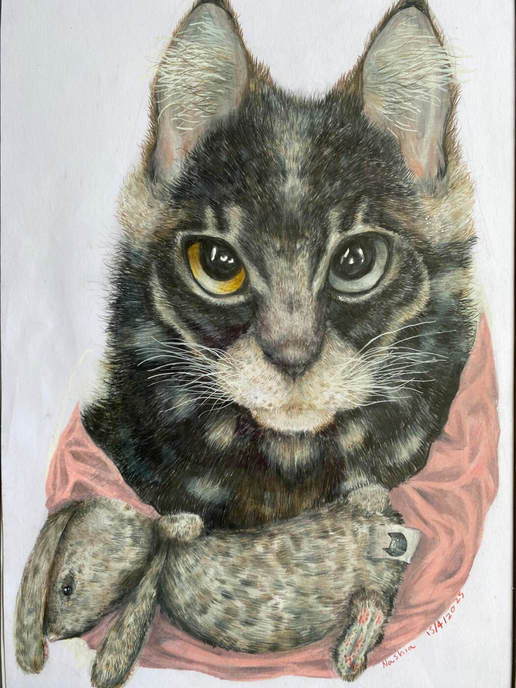 J-2025-Nashia-Eade-My-Maine-coon